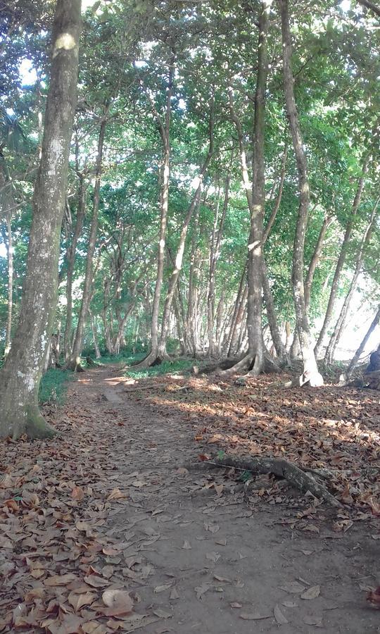 Отель Escape Caribeno Puerto Viejo de Talamanca Экстерьер фото